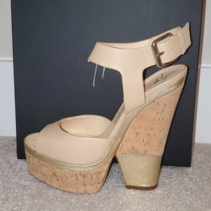 Giuseppe Zanotti Nude Platform Wedge